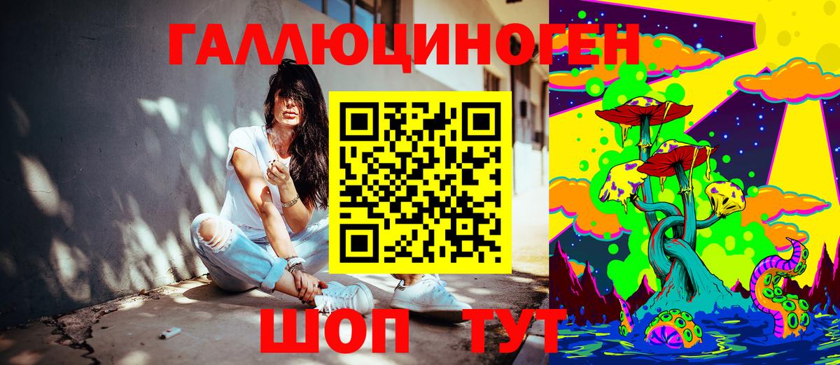 Обь  Галлюциногенные грибы Psilocybine cubensis  Вход с VPN 